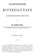Albert Oppel - Palaeontologische Mittheilungen ...